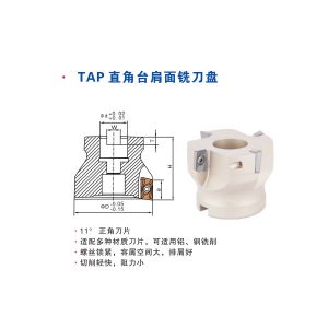 TAP直角臺(tái)肩面銑刀盤